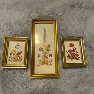 Framed dried flowers artwork -set of 3